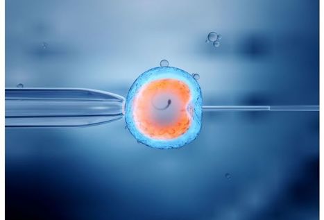 Les traitements pour la fertilit&eacute; augmentent le risque cardiaque | Bio&eacute;thique & Procr&eacute;ation | Scoop.it