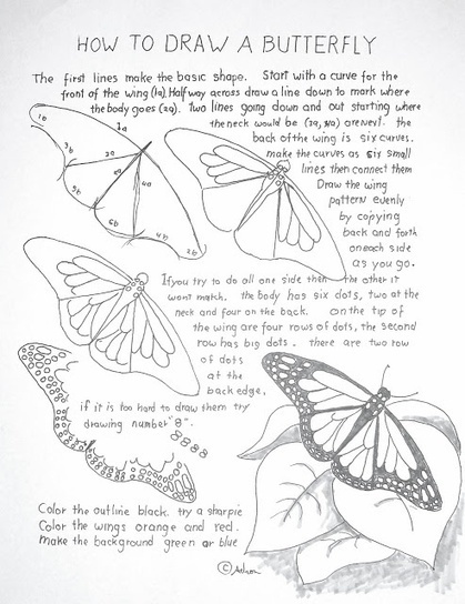How To Draw A Butterfly | Drawing and Painting Tutorials | Scoop.it