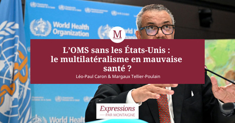 STRATEGIES : L’OMS sans les États-Unis : le multilatéralisme en mauvaise santé ? | STRATEGIES | Scoop.it