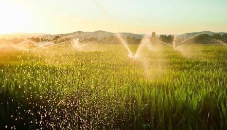 La plupart des agriculteurs néo-zélandais risquent une taxe sur l'eau de 50 000 $ | Lait de Normandie... et d'ailleurs | Scoop.it