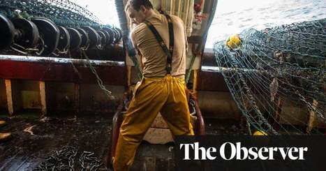 What’s the catch? British fishermen’s hopes and fears for Brexit deal | Business | The Guardian | Macroeconomics: UK economy, IB Economics | Scoop.it