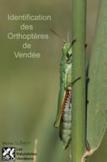 Clé de détermination des Orthoptères de Vendée de Michel Clémot | Variétés entomologiques | Scoop.it