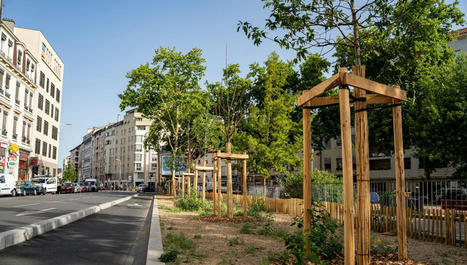 "Il n'y aura pas de solution miracle" : face aux chaleurs extrêmes, comment adapter nos villes ? | France Inter | La SELECTION du Web | CAUE des Vosges - www.caue88.com | Scoop.it