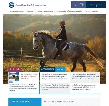 Un nouveau site Internet corporate pour Ceva Sant&eacute; Animale | Buzz e-sante | Scoop.it