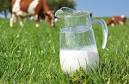Les produits laitiers réduiraient la dénutrition | Lait de Normandie... et d'ailleurs | Scoop.it