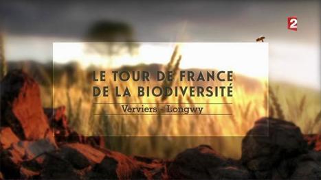 VIDÉO. Le Tour de France de la BioDiversité : Episode 3 avec Denis Gargaud | Biodiversité | Scoop.it