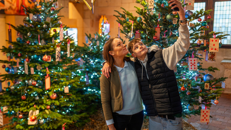 Festivit&eacute;s de No&euml;l en Sud Touraine&nbsp; | Revue de presse &eacute;conomique du Sud Touraine | Scoop.it