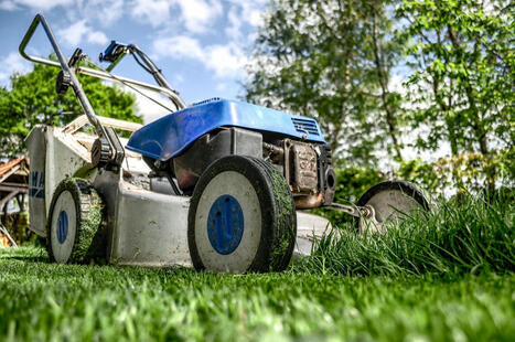 Les communes restreignent la tonte des jardins privés | Environnement - Énergie | Scoop.it