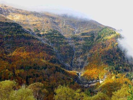 Automne en Pineta - Refugio de Pineta | Facebook | Vallées d'Aure & Louron - Pyrénées | Scoop.it