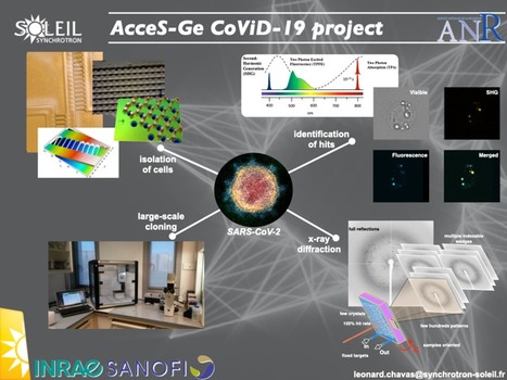 FOCUS PLATEFORME : SOLEIL / PROXIMA-1 initie un projet de génomique structurale sur SARS-CoV-2, en partenariat avec l’INRAe et SANOFI | Life Sciences Université Paris-Saclay | Scoop.it