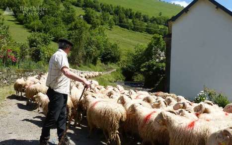 Transhumance au patrimoine immatériel de l’Unesco : un pas important a été franchi | Vallées d'Aure & Louron - Pyrénées | Scoop.it