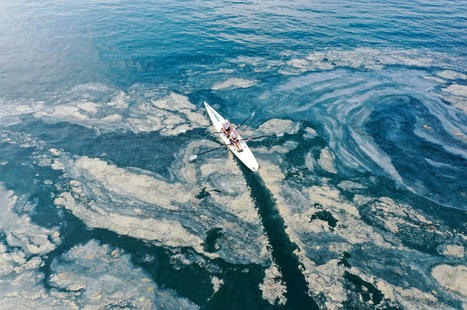 TURKEY considers fishing ban amid fight against 'sea snot' | CIHEAM Press Review | Scoop.it