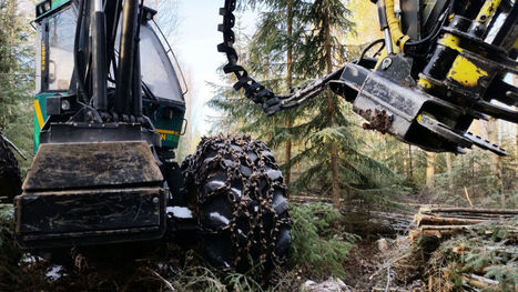 Ylen kysely: Valtaosa suomalaisista ei lisäisi metsänhakkuita nykyisestä | Yle Uutiset | yle.fi | 1Uutiset - Lukemisen tähden | Scoop.it