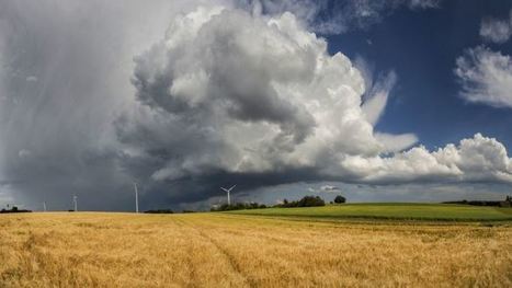 Changements climatiques « Pour nos forêts et notre agriculture, le statu quo n’est pas une option » | Elevage et environnement | Scoop.it