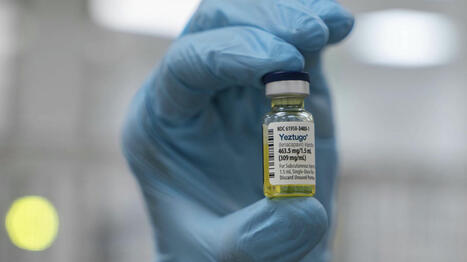 Lutte contre le sida : qu'est-ce que le Yeztugo, un nouveau traitement préventif contre le VIH autorisé aux Etats-Unis ? | actualités VIH, hépatites, IST, santé sexuelle | Scoop.it