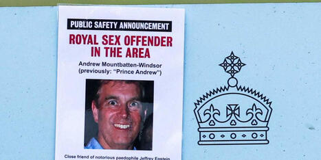 Prince Andrew's biographer flags Trump links 'clearly taken out' of Epstein files - Raw Story | Operation Phobos | Scoop.it
