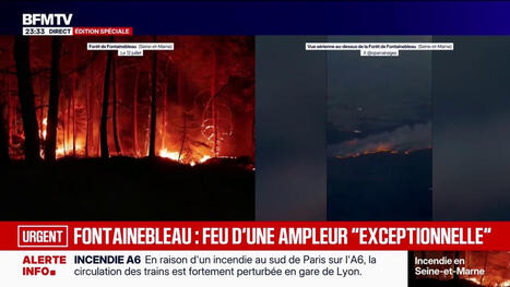Les images a&eacute;riennes de l'incendie dans la for&ecirc;t de Fontainebleau | Biodiversit&eacute; - @ZEHUB on Twitter | Scoop.it