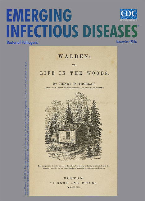 À propos de la couverture de "Walden ou la vie dans les bois", un simple croquis de Sophia Thoreau qui symbolise l'autonomie | Insect Archive | Scoop.it