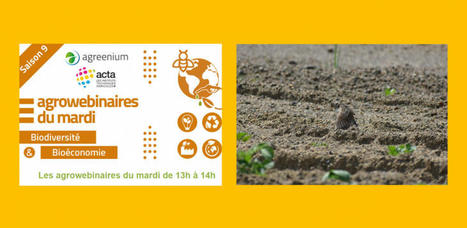 "Oiseaux et agriculture" | Acad&eacute;mie d'Agriculture de France | Paysage - Agriculture | Scoop.it