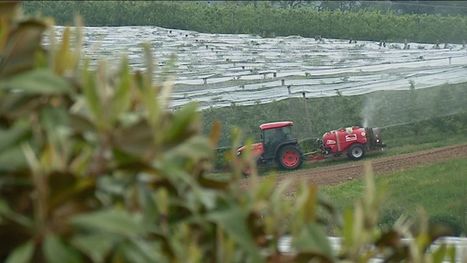 Pommes du Limousin : les pesticides n’ont pas dit leur dernier mot | Les Colocs du jardin | Scoop.it