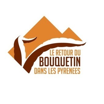 Parrainez un bouquetin ibérique - Parc national des Pyrénées | Biodiversité | Scoop.it