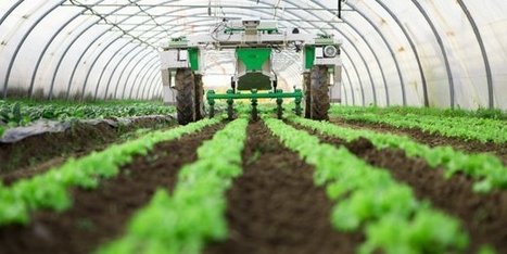 L'AgTech, volet fleurissant de la French Tech | INNOVATIONS | Scoop.it
