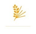 Bulletins d&rsquo;analyse d&rsquo;innovation Soci&eacute;tale &ndash; Le RAMEAU - Juillet 2026 | Territoires, transitions et innovations | Scoop.it