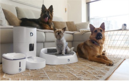 Dinbeat - Home devices | Quantified Pet | Scoop.it
