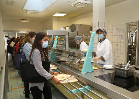 Restauration collective : le projet de loi Climat et Résilience dans les pas de la loi Egalim | L'actu au service du développement territorial | Scoop.it