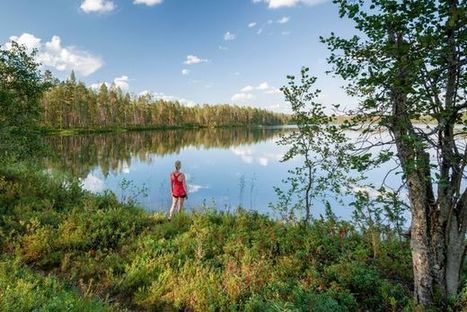 Jopa kolme miljoonaa suomalaista aikoo matkustaa kotimaassa | 1Uutiset - Lukemisen tähden | Scoop.it