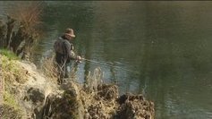 Rivières polluées et triste ouverture de la pêche à la truite | Toxique, soyons vigilant ! | Scoop.it