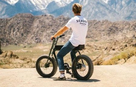 best e bike manufacturer