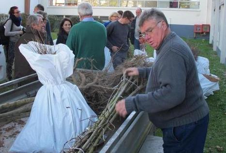 Préserver la biodiversité grâce aux haies | Biodiversité | Scoop.it