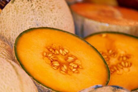 Rappel produit : ces melons contiennent trop de pesticides, ils ne doivent pas être consommés | Politiques publiques et société | Scoop.it