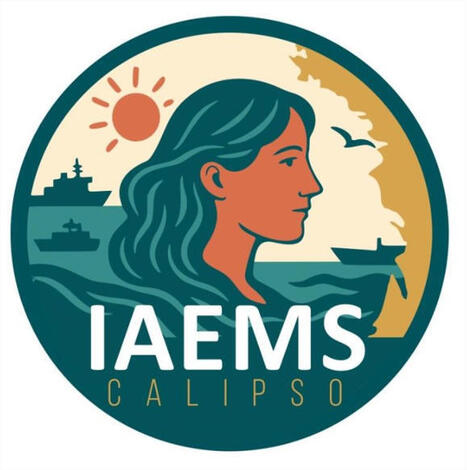 L'Institut Atlantique d&rsquo;&Eacute;tudes Maritimes et Strat&eacute;giques se d&eacute;voile dans le Morbihan, le 17 d&eacute;cembre | DEFENSE NEWS | Scoop.it