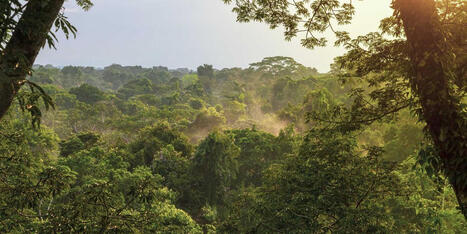 The Critical Value of Indigenous Climate Stewardship | RAINFOREST EXPLORER | Scoop.it