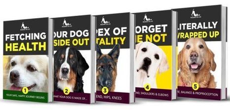 Wagging For Life Aging Dog Vitality Course Download by Carrie Smith | Ebooks & Books (PDF Free Download) | Scoop.it