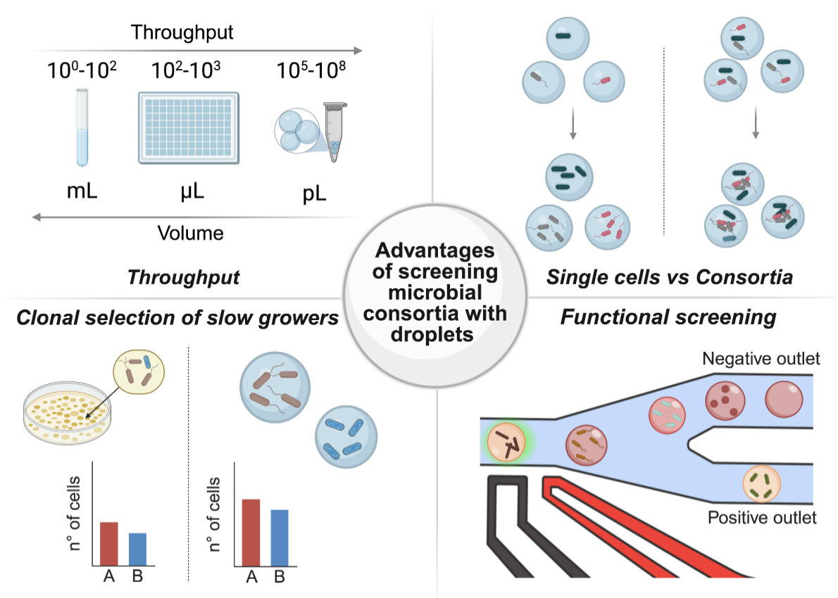 Ultra-high throughput droplet microfluidics for...