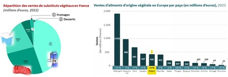 Le marché des protéines végétales en France en 5 chiffres | Lait de Normandie... et d'ailleurs | Scoop.it