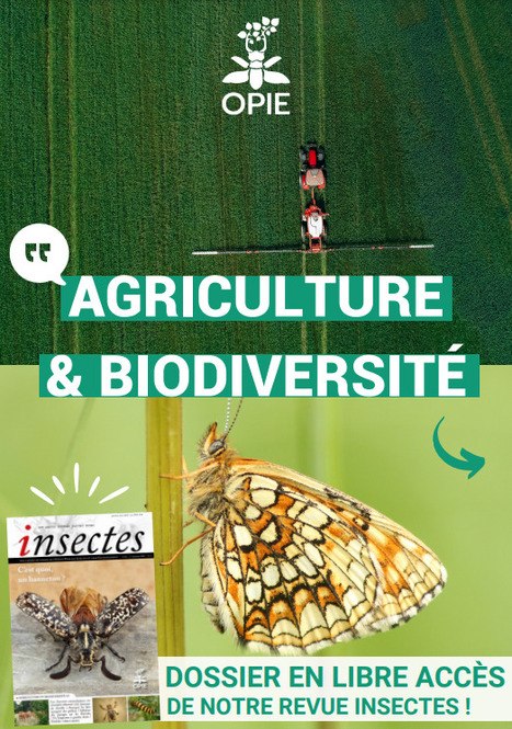 Agriculture & Biodiversité | Insect Archive | Scoop.it