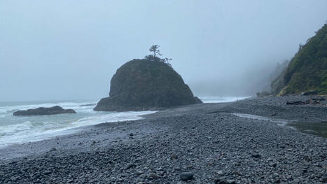 Coastal News Today | OR - Tillamook County communities consider closing coast trails after lawsuit against city of Newport | Coastal Restoration | Scoop.it