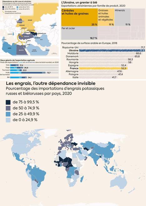 [Infographie] Blé, tournesol, engrais... L'Ukraine et la Russie, deux géants agricoles | Lait de Normandie... et d'ailleurs | Scoop.it