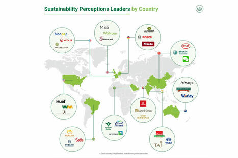 Woolworths Leads With Highest Sustainability Perceptions Value | Sustainable Procurement News | Scoop.it