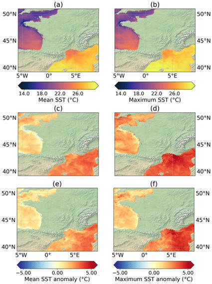 Response of the sea surface temperature to heatwaves during the France 2022 meteorological summer | Biodiversité | Scoop.it
