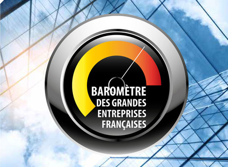 Baromètre 2018 des grandes entreprises françaises | Intelligence économique & stratégique - Stratégie d'innovation | Scoop.it