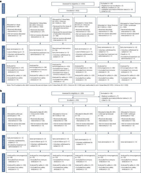 Comparison of bivalent and monovalent SARS-CoV-2 variant vaccines: the phase 2 randomized open-label COVAIL trial | Nature Medicine | veille vaccination | Scoop.it