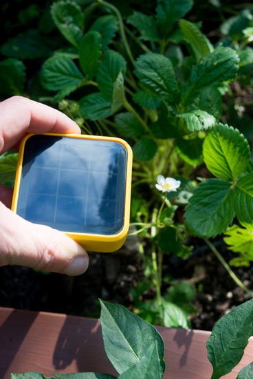 Garden Gadgets: The Solar-Powered Edyn Sensor Is Now Monitoring Our Raised Beds | The Horticult | Think Like a Permaculturist | Scoop.it