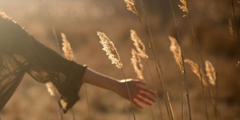 How to know if you are an 'empath' | Empaths | Scoop.it
