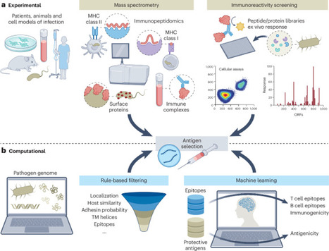 Challenges and opportunities in mRNA vaccine development against bacteria  | Virology News | Scoop.it