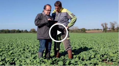 Agriculture connectée Vincent Tardieu : « Attention à ne pas mettre les outils avant les projets » | Elevage et numérique | Scoop.it